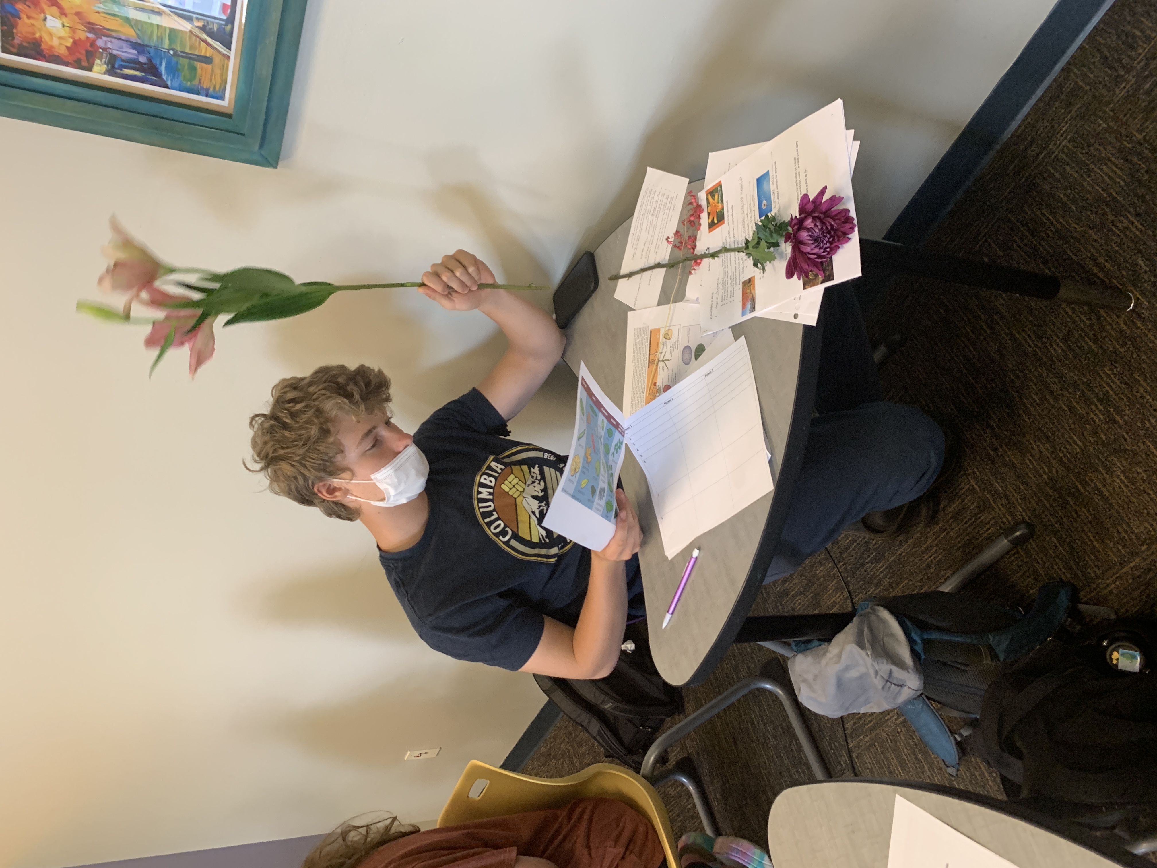 Student holding flower while working on school work.